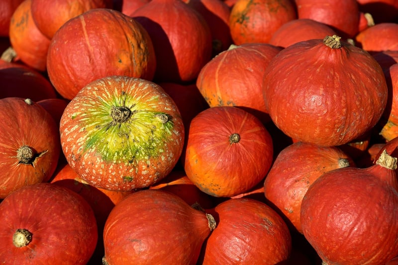 Fall Pumpkins